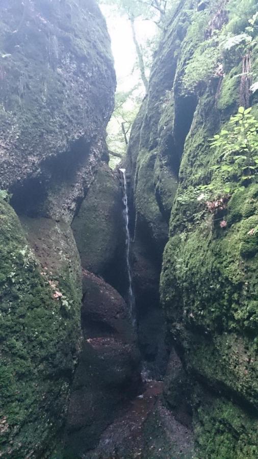 Schoene Aussicht, Wallbox, 70Qm, Kontaktloser Check-In Eisenach Exteriér fotografie